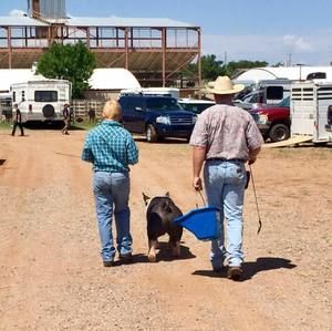 Meet your Posher, Kari